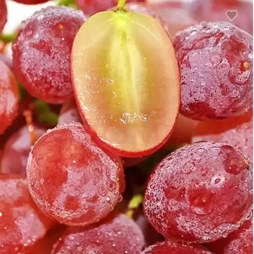 Hot Sale Fresh Red Sweet Grapes