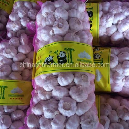 Wholesale 4.5cm 5.0cm 5.5cm 6.0cm 10kg Carton Normal White Fresh Garlic Price