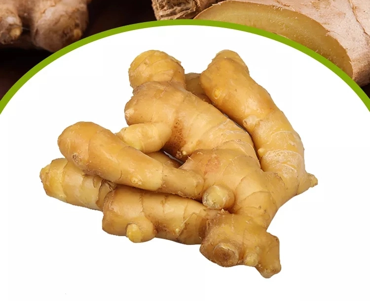 Wholesale Chinese Fresh Young Frozen Vegetable Food Air Dry Dried Pickled Slice Dehydrated Sushi Organic Crop Fat Yellow Ginger Vegetable Organic Ginger