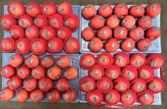 Mela FUJI fresca, deliziosa e di alta qualità