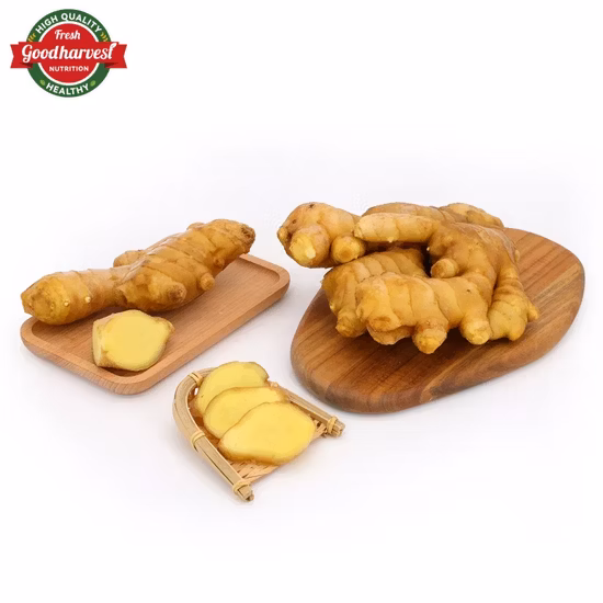 Zenzero fresco alimentare agro-salute cinese con certificato biologico Brc Smeta