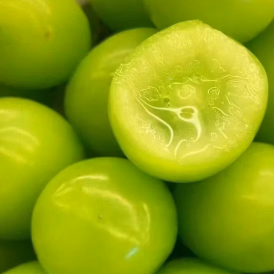 Deliziosa uva fresca prezzo frutta uva fresca biologica