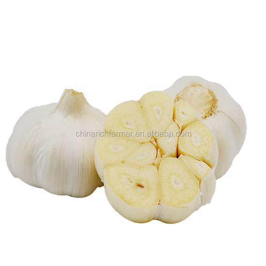 Aglio bianco puro fresco/aglio bianco normale/aglio bianco con certificato SGS